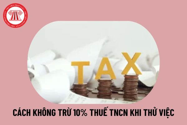 Hướng dẫn cách không trừ 10% thuế thu nhập cá nhân khi thử việc? Mẫu 08/CK-TNCN bản cam kết thuế TNCN 2024 chuẩn nhất thế nào?