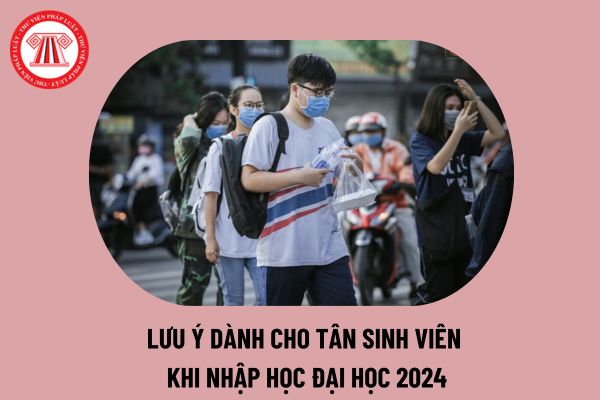 Tân sinh viên là gì? Lưu ý dành cho tân sinh viên khi nhập học Đại học 2024 chi tiết nhất thế nào? (