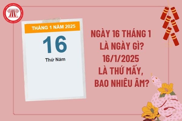 Ngày 16 tháng 1 là ngày gì? Ngày 16 tháng 1 năm 2025 là ngày bao nhiêu âm? Ngày 16 1 2025 là thứ mấy?