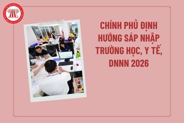 Pháp luật