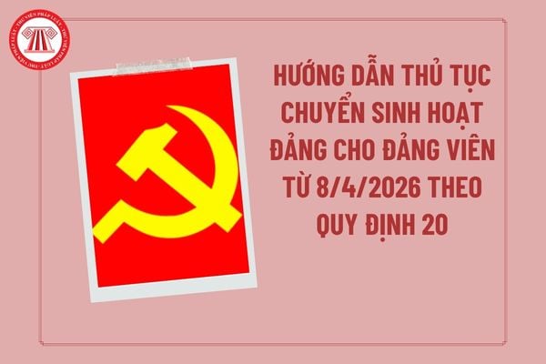 Pháp luật