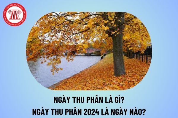 Ngày Thu phân là ngày gì? Ngày Thu phân 2024 là ngày nào? Thu phân bắt đầu từ tháng mấy năm 2024?