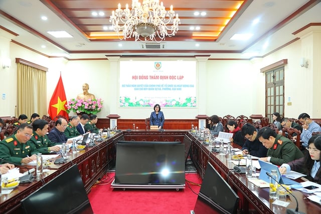 Pháp luật