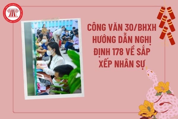 Công văn 30/BHXH-TCCB hướng dẫn Nghị định 178 về sắp xếp nhân sự khi tinh gọn bộ máy? Công văn 30 hướng dẫn Nghị định 178? 