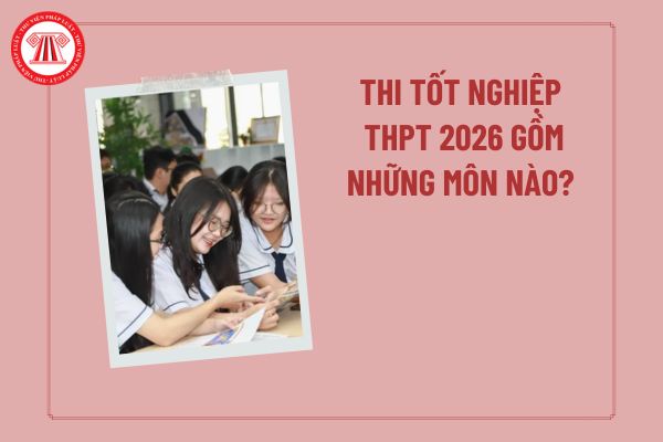 Pháp luật
