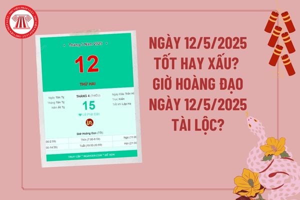 Pháp luật