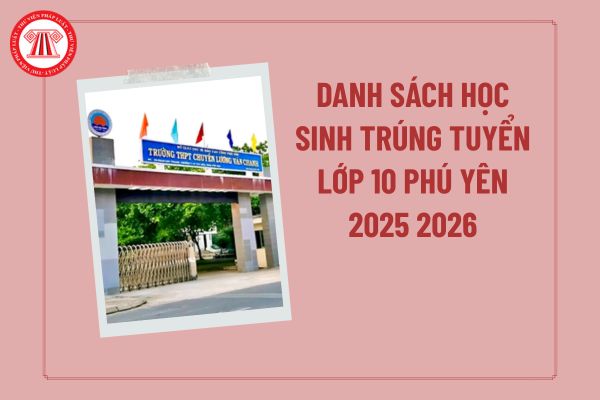 Pháp luật