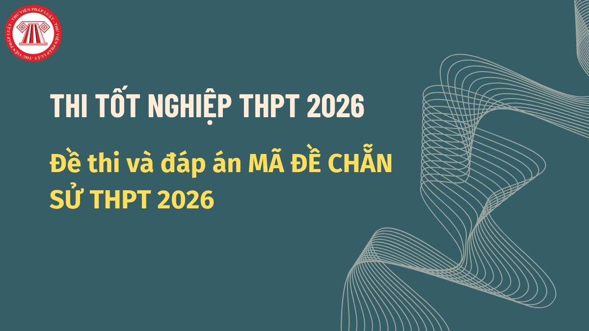 Pháp luật