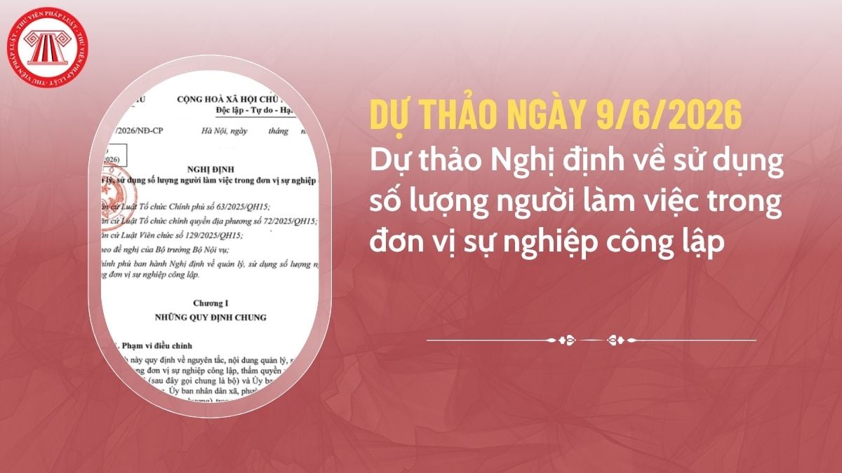 Pháp luật