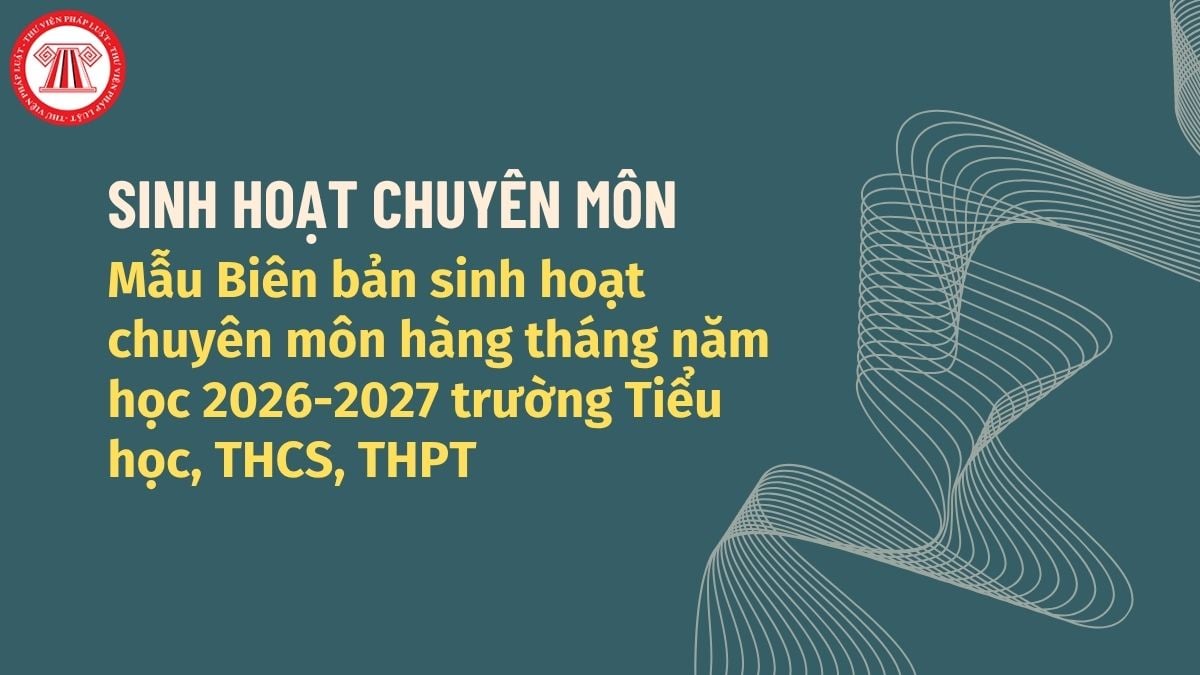 Pháp luật