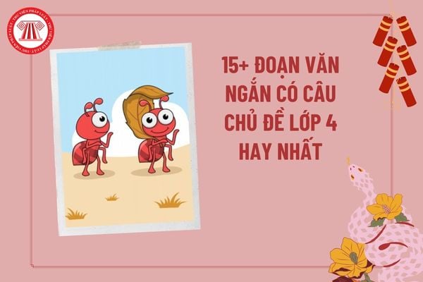 10+ Đoạn văn ngắn có câu chủ đề lớp 4? Viết đoạn văn ngắn có câu chủ đề Họ hàng nhà kiến chăm chỉ hiền lành? 