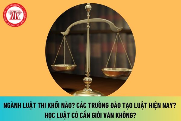 Ngành Luật thi khối nào? Các trường đào tạo ngành Luật hiện nay? Học Luật có cần giỏi văn không?