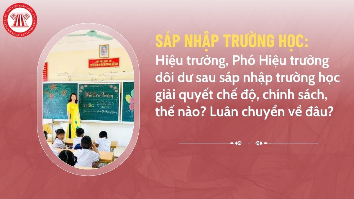 Pháp luật