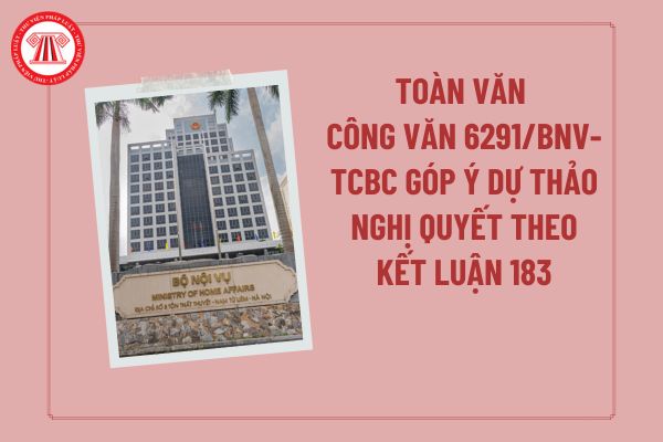 Pháp luật