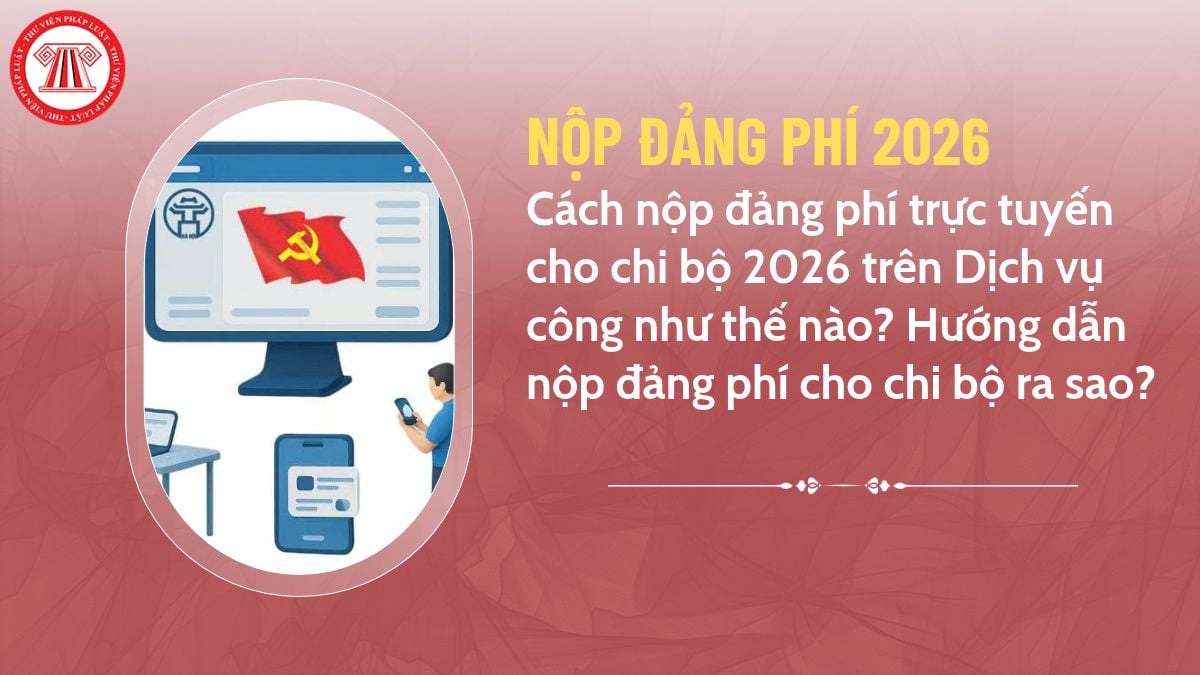 Pháp luật
