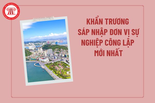 Khẩn trương sáp nhập đơn vị sự nghiệp công lập mới nhất: Hoàn thiện phương án sắp xếp đơn vị sự nghiệp công lập cho ý kiến trong tháng 11/2025?