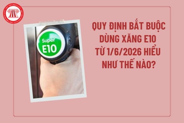 Pháp luật