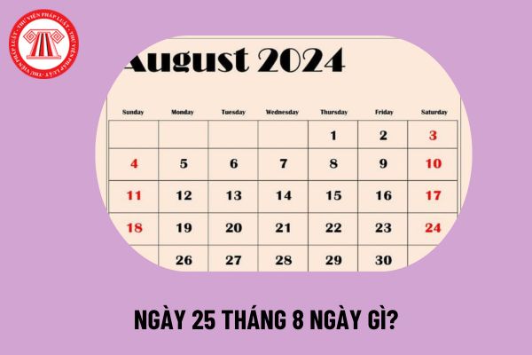 Ngày 25 tháng 8 là ngày gì? 25/8 là ngày sinh của ai? Sự kiện đặc biệt ngày 25 tháng 8 năm 2024 là gì?