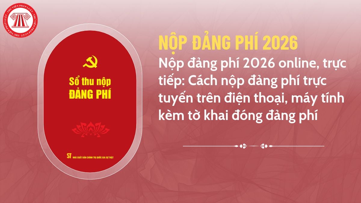Pháp luật