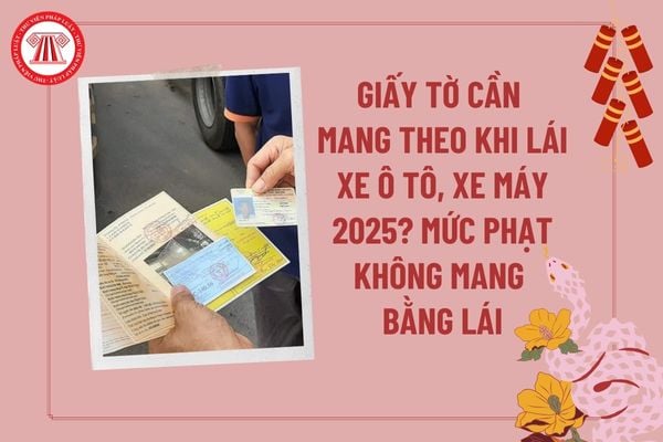 Giấy tờ cần mang theo khi lái xe ô tô, xe máy 2025 cần biết? Không mang theo bằng lái phạt bao nhiêu 2025? 