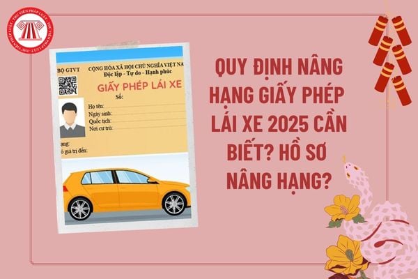 Quy định nâng hạng giấy phép lái xe 2025 cần biết? Các loại bằng lái xe 2025 theo Luật Trật tự, an toàn giao thông đường bộ? 