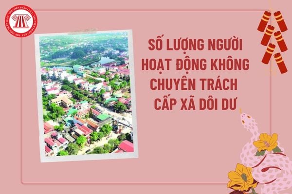 Số lượng người hoạt động không chuyên trách cấp xã dôi dư sau sắp xếp đơn vị hành chính cấp huyện, cấp xã 2023 2025?