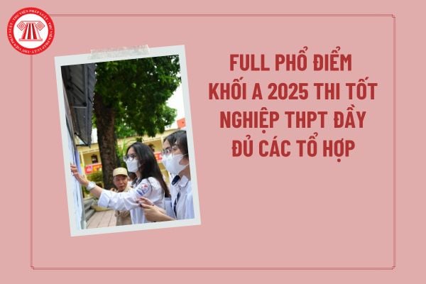 Pháp luật