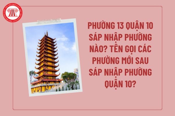 Pháp luật