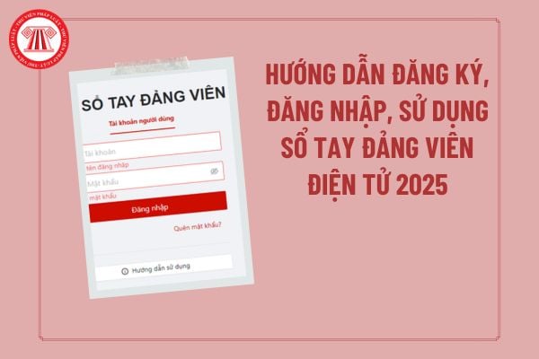 Pháp luật
