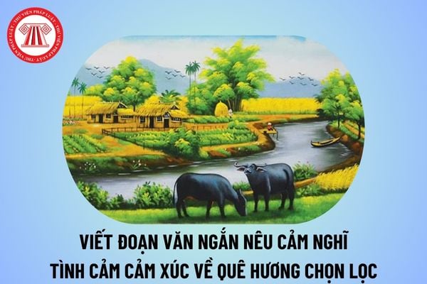 Viết đoạn văn ngắn nêu cảm nghĩ về quê hương em ngắn, chọn lọc? Viết đoạn văn nêu tình cảm cảm xúc về quê hương em?