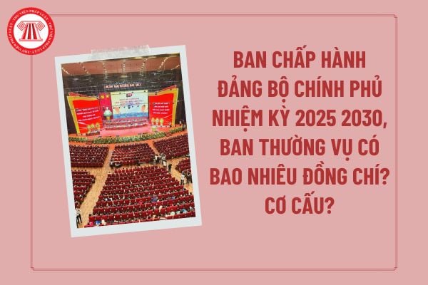 Pháp luật