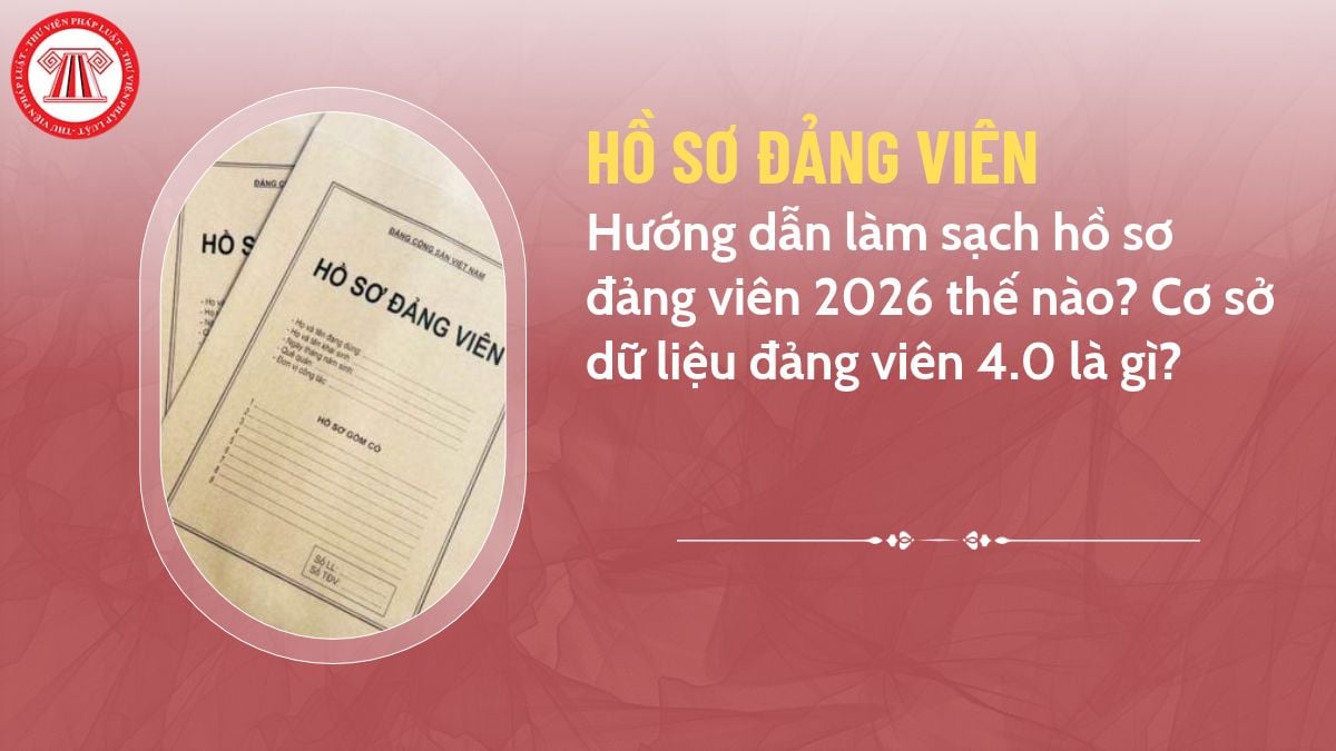 Pháp luật