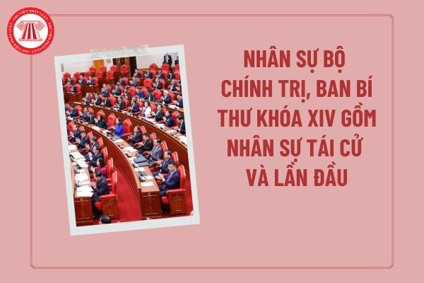 Pháp luật