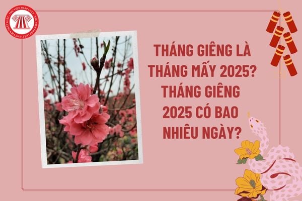 Tháng Giêng là tháng mấy 2025? Tháng Giêng âm lịch 2025 có bao nhiêu ngày? Tháng Giêng là tháng mấy dương lịch?