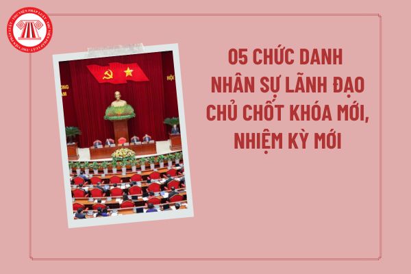 Pháp luật