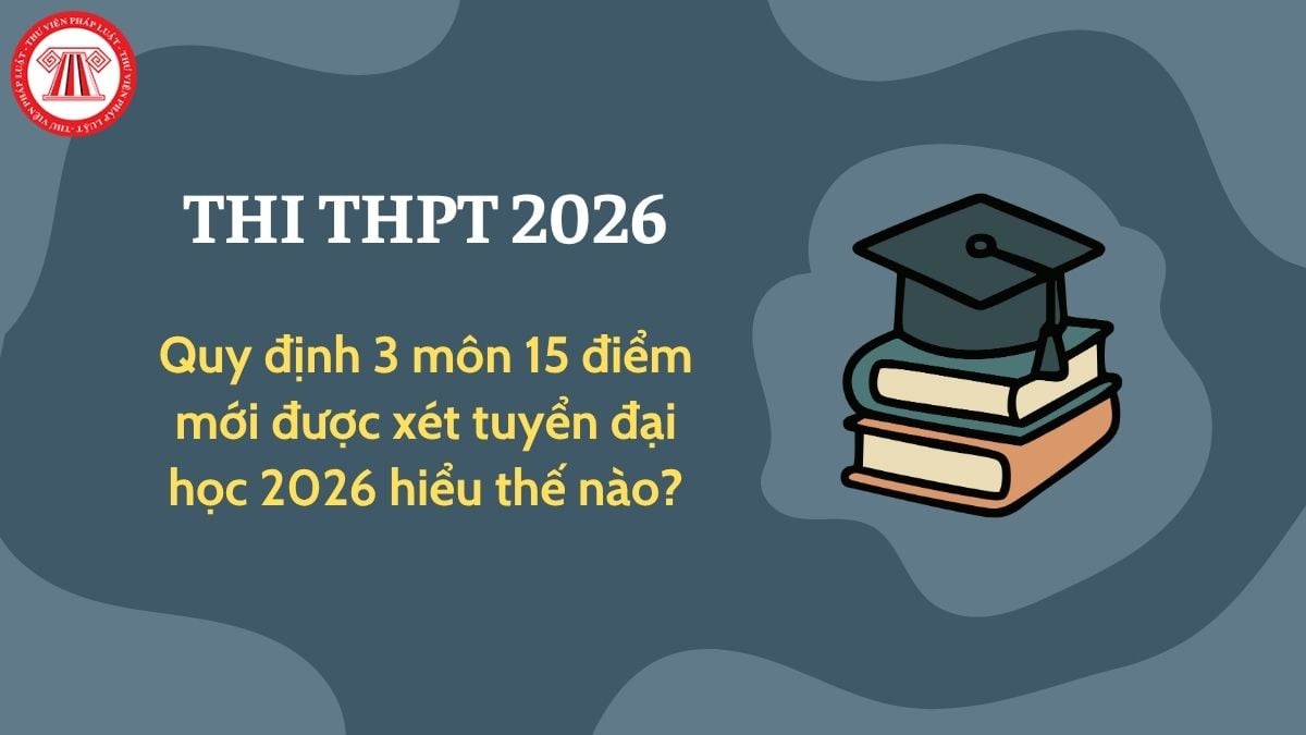 Pháp luật