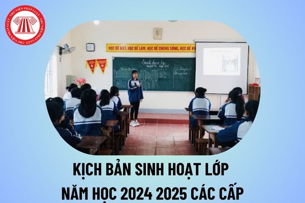 Kịch bản sinh hoạt lớp năm học 2024 2025 các cấp? Lời dẫn chương trình sinh hoạt lớp năm học 2024 2025?