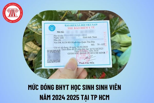 Mức đóng bảo hiểm y tế học sinh sinh viên năm học 2024 2025 tại TP HCM theo Hướng dẫn 6687 thế nào?