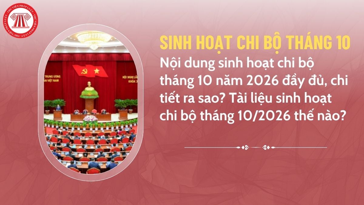 Pháp luật
