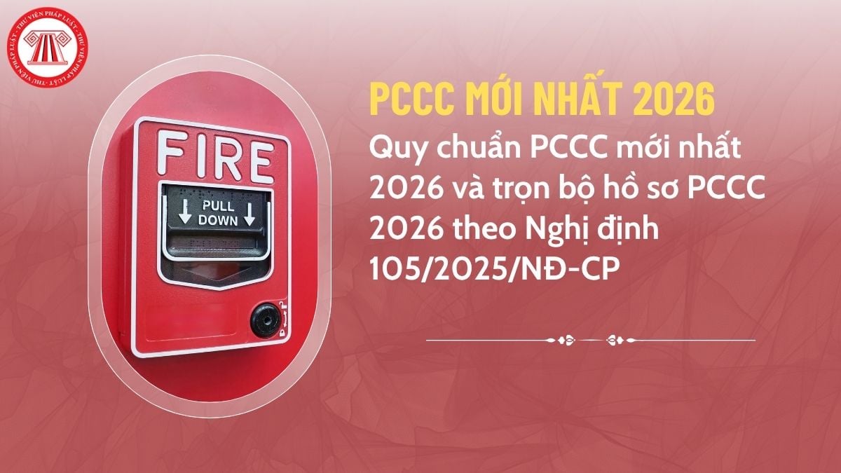 Pháp luật