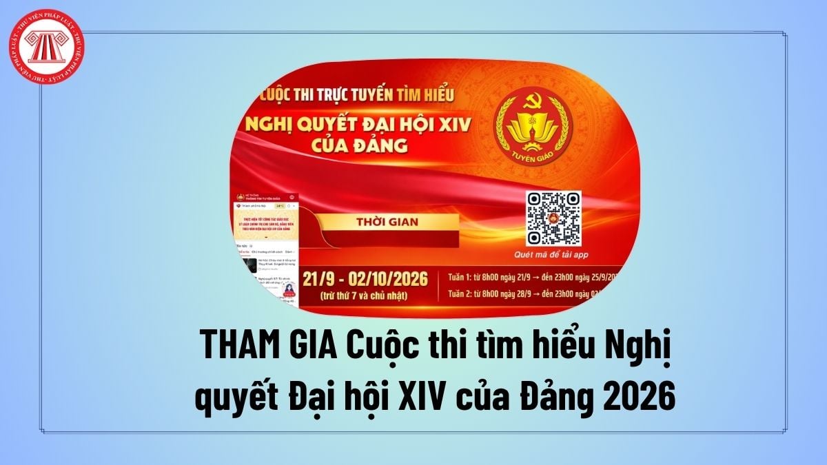 Pháp luật