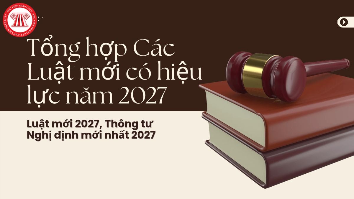Pháp luật