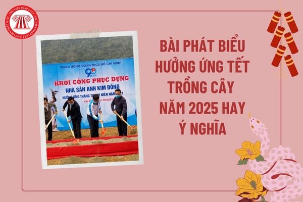 Bài phát biểu tết trồng cây 2025 ngắn gọn, hay nhất? Bài phát biểu hưởng ứng Tết trồng cây của đoàn thanh niên thế nào?