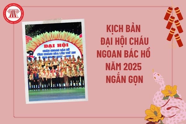 Kịch bản Đại hội Cháu ngoan Bác Hồ năm 2025 ngắn gọn? Hướng dẫn tổ chức Đại hội Cháu ngoan Bác Hồ năm 2025?