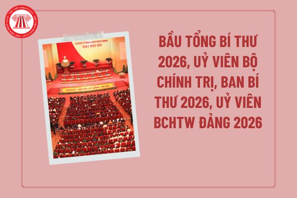 Pháp luật