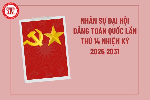 Pháp luật