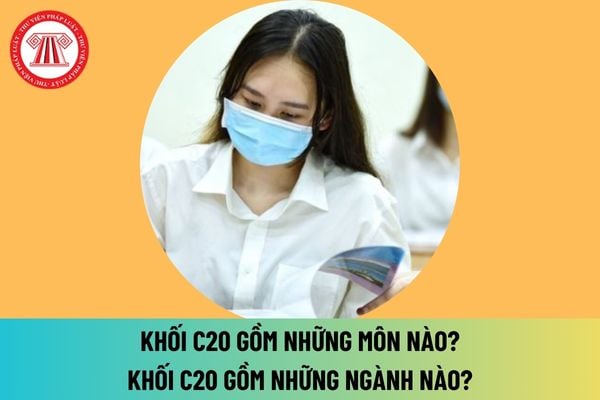 Khối C20 gồm những môn nào? Khối C20 gồm những ngành nào? Học Luật xét khối C20 được không? Khối C20 gồm những trường nào ở TPHCM, Hà Nội?