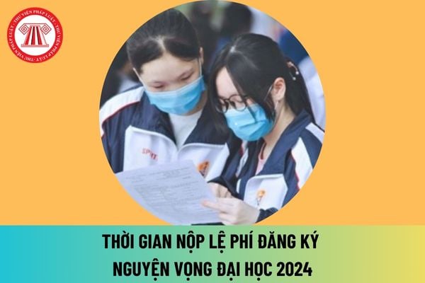 Thời gian nộp lệ phí đăng ký nguyện vọng đại học 2024? Nộp lệ phí đăng ký nguyện vọng đại học 2024 ở đâu?