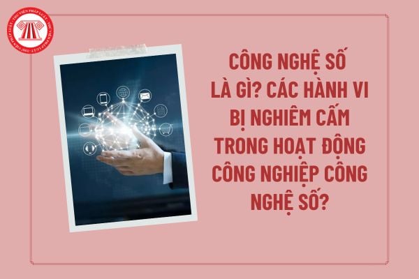 Pháp luật