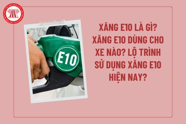 Pháp luật